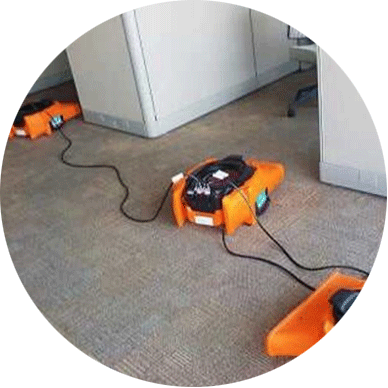 complete carpet care